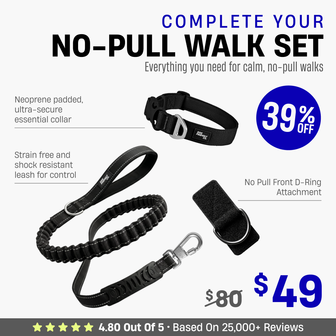 Complete Your No-Pull Walk Set