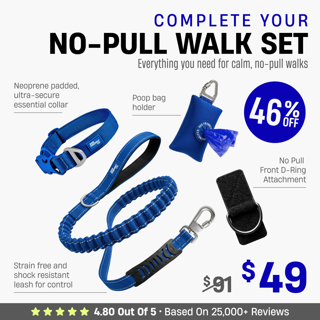 Complete Your No-Pull Walk Set + FREE GIFT