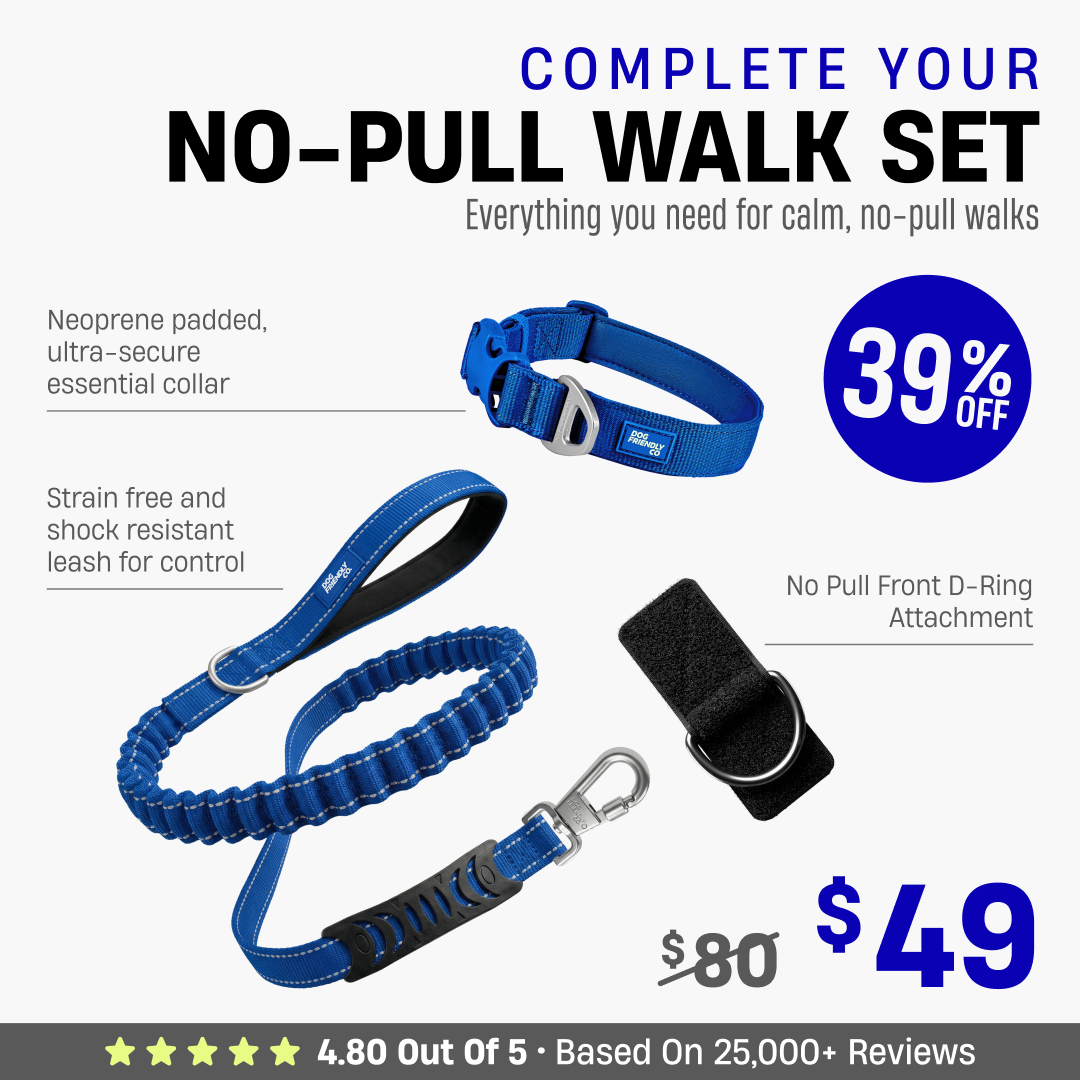 Complete Your No-Pull Walk Set