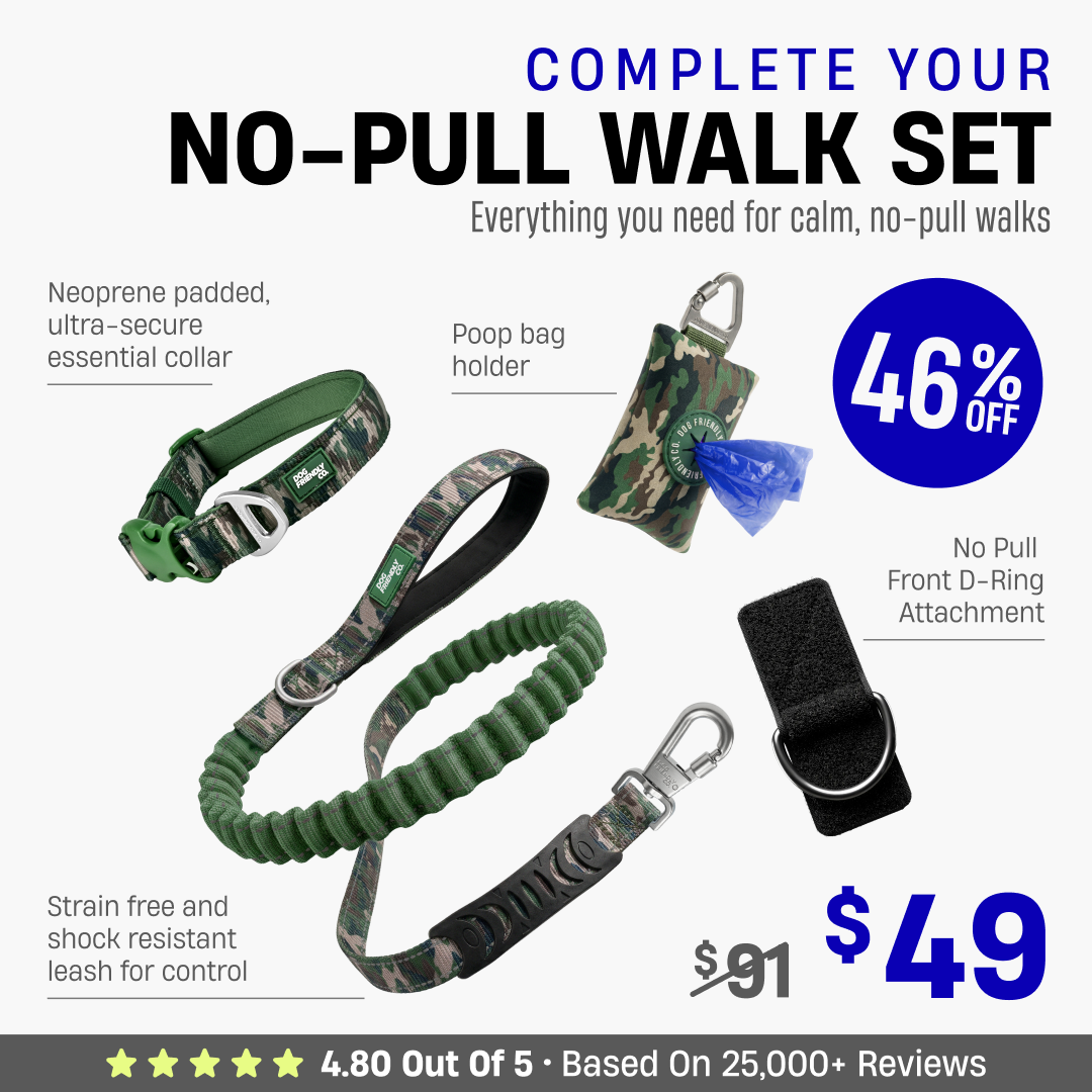 Complete Your No-Pull Walk Set + FREE GIFT