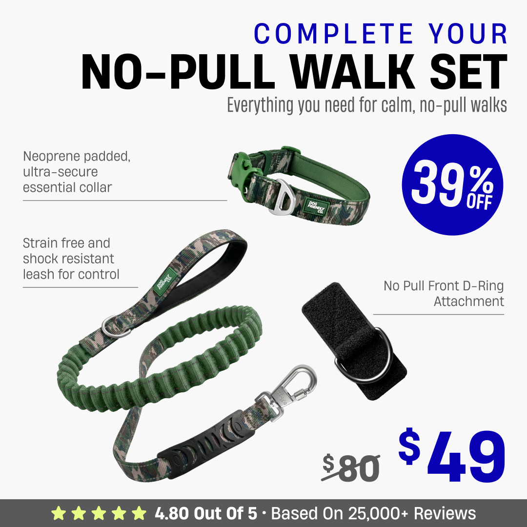 Complete Your No-Pull Walk Set