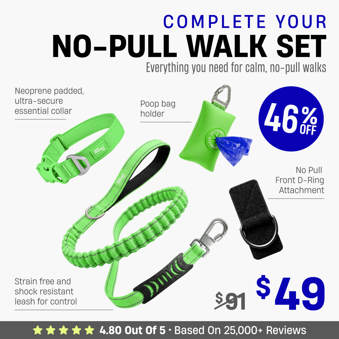 Complete Your No-Pull Walk Set + FREE GIFT