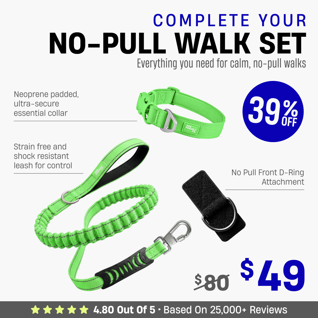 Complete Your No-Pull Walk Set