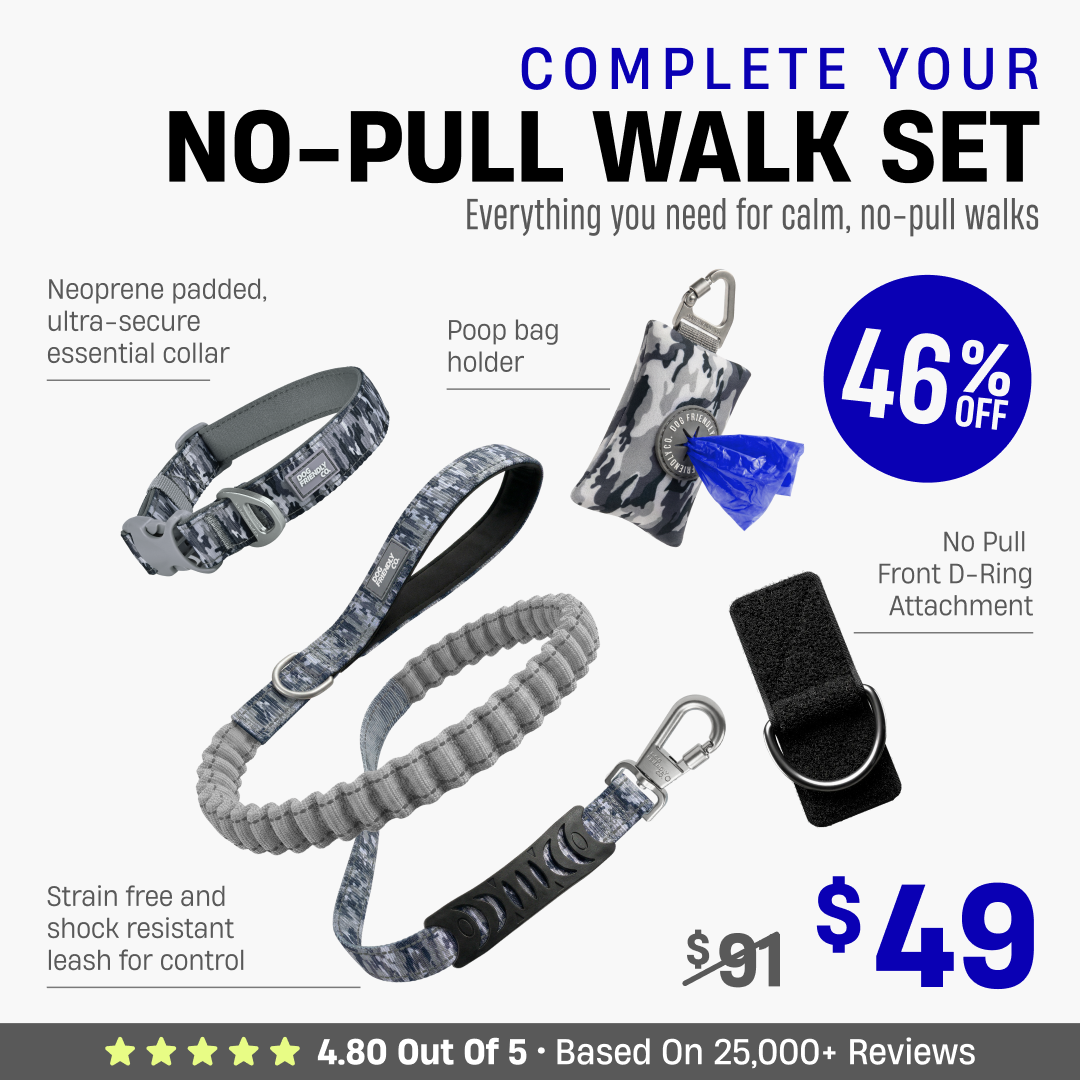 Complete Your No-Pull Walk Set + FREE GIFT