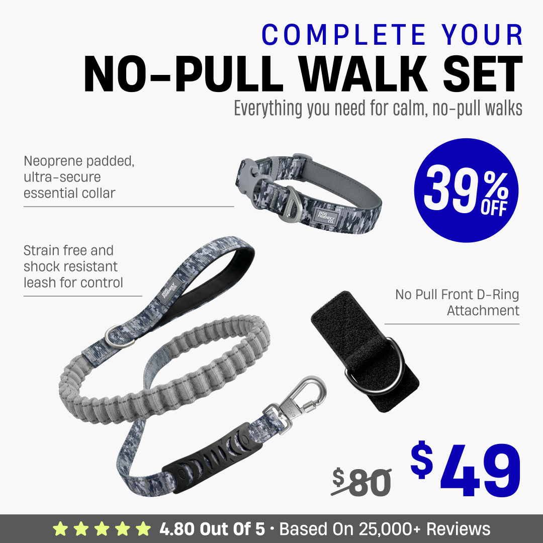 Complete Your No-Pull Walk Set