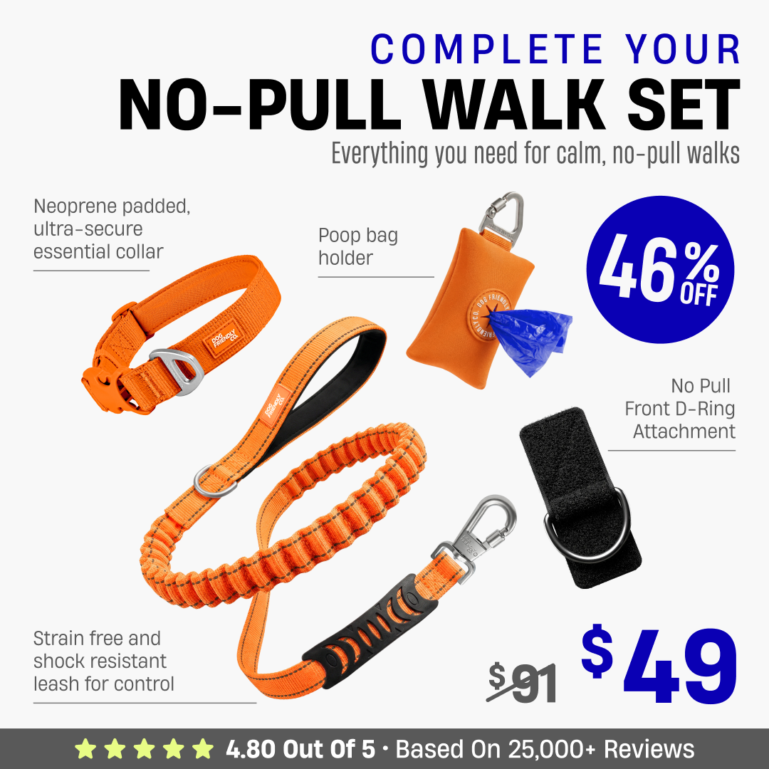 Complete Your No-Pull Walk Set + FREE GIFT
