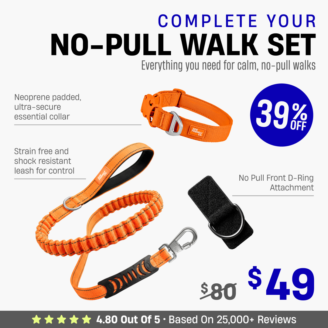 Complete Your No-Pull Walk Set