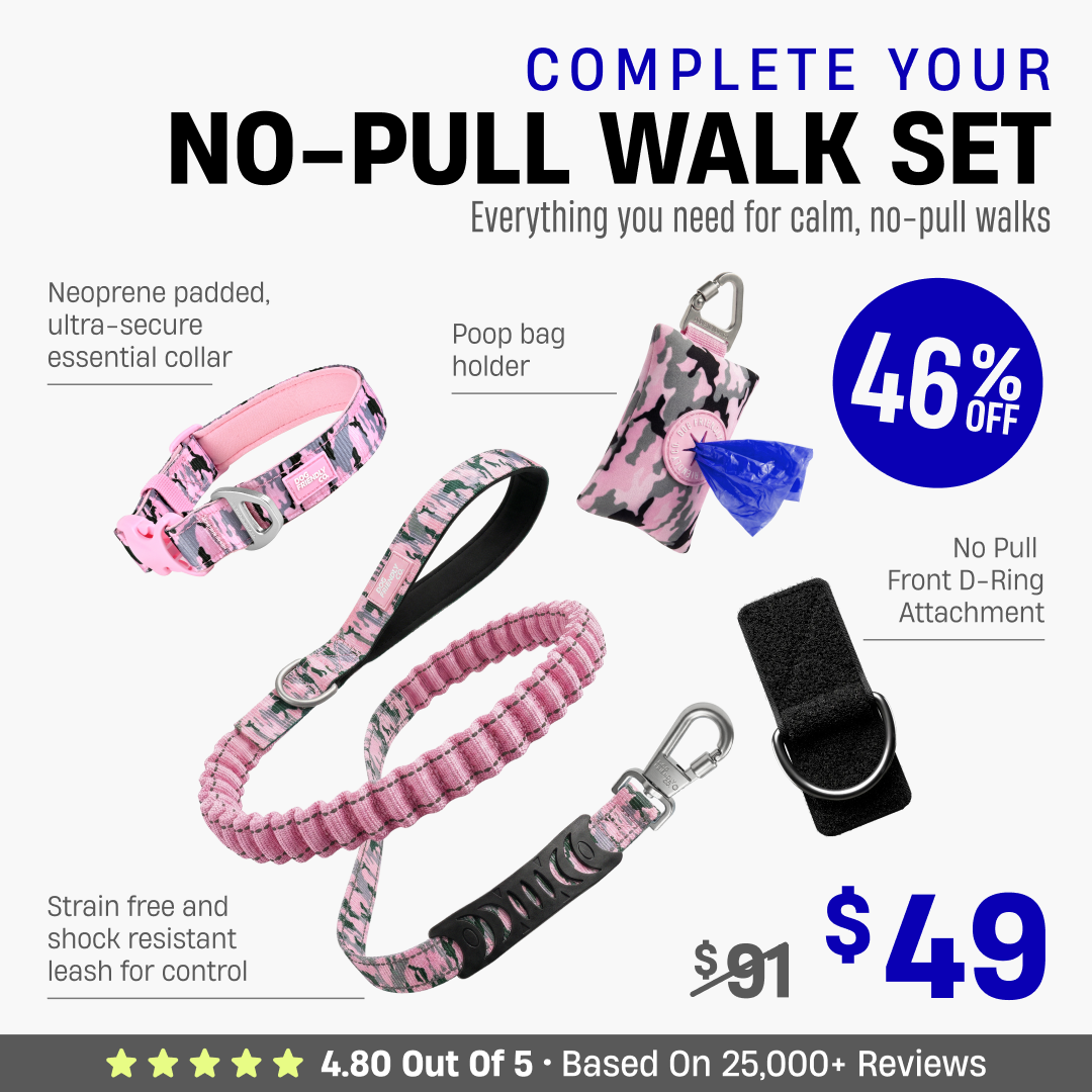 Complete Your No-Pull Walk Set + FREE GIFT