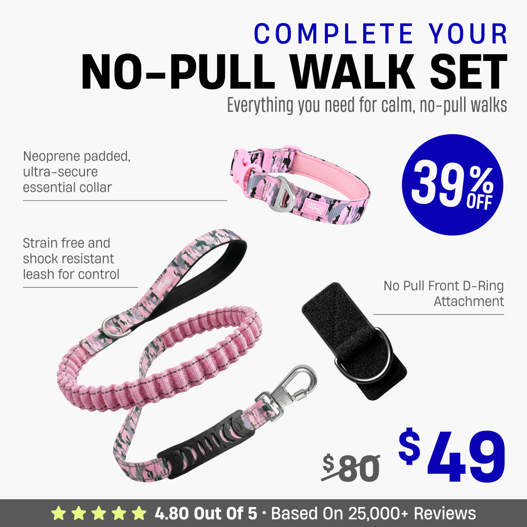 Complete Your No-Pull Walk Set
