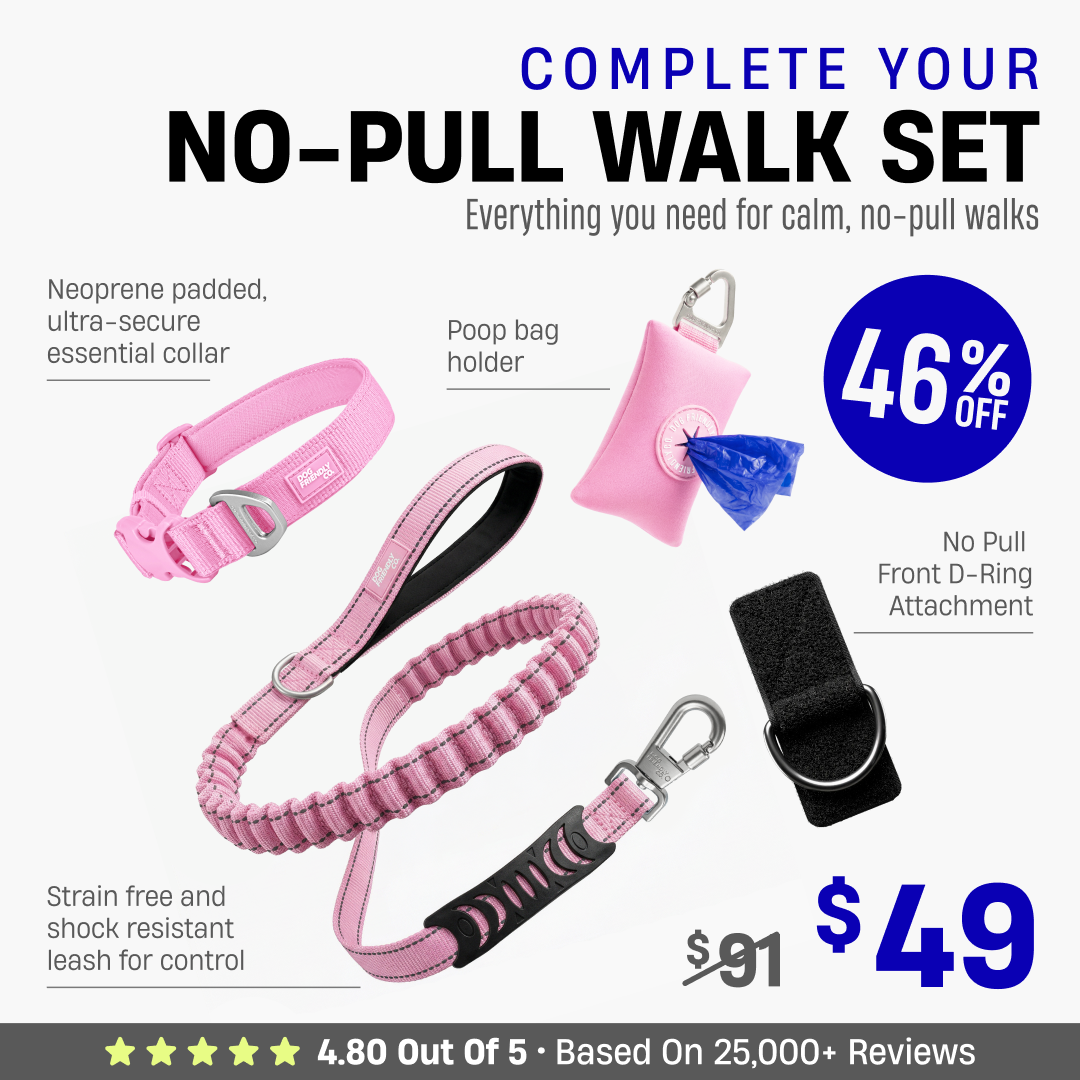Complete Your No-Pull Walk Set + FREE GIFT