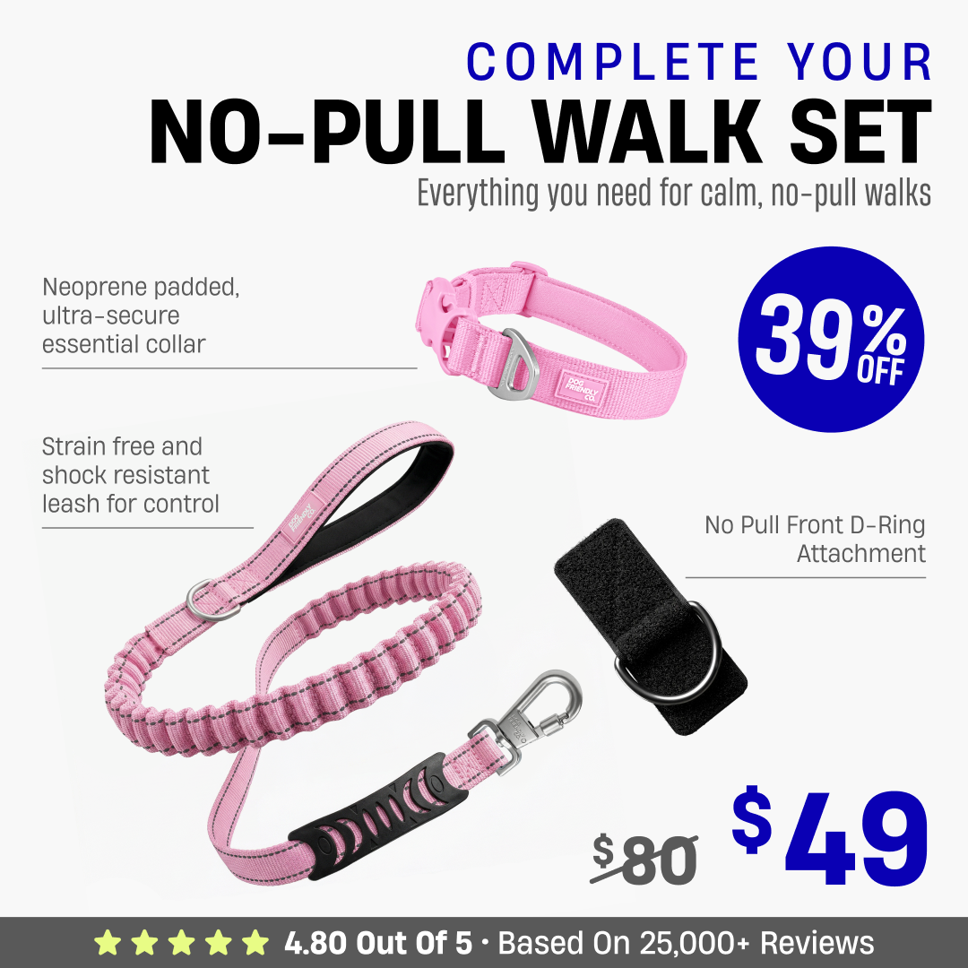 Complete Your No-Pull Walk Set