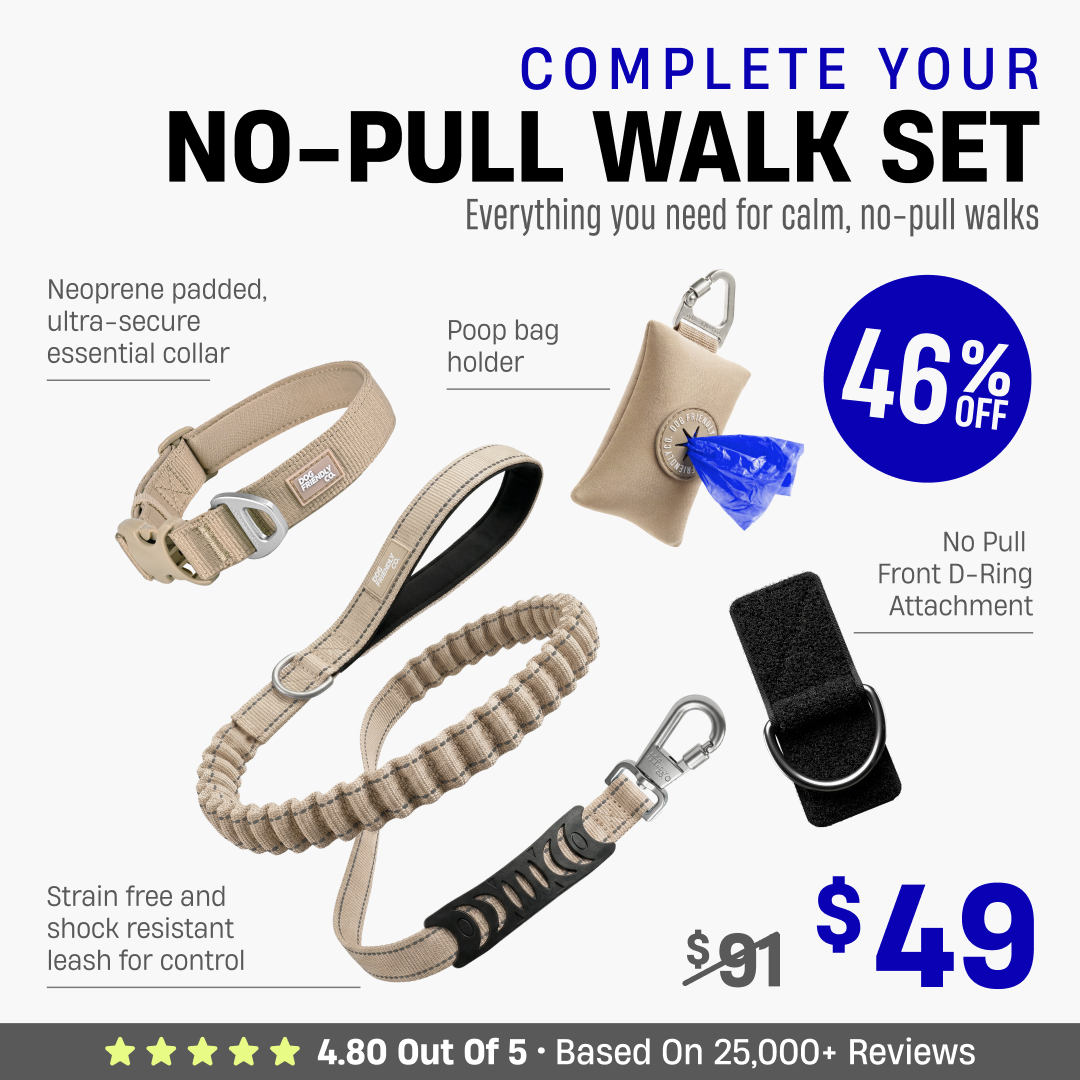 Complete Your No-Pull Walk Set + FREE GIFT