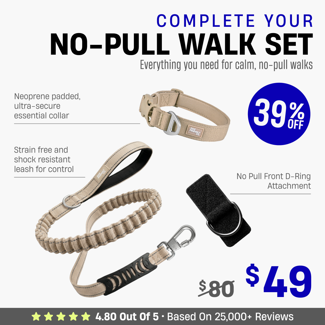 Complete Your No-Pull Walk Set