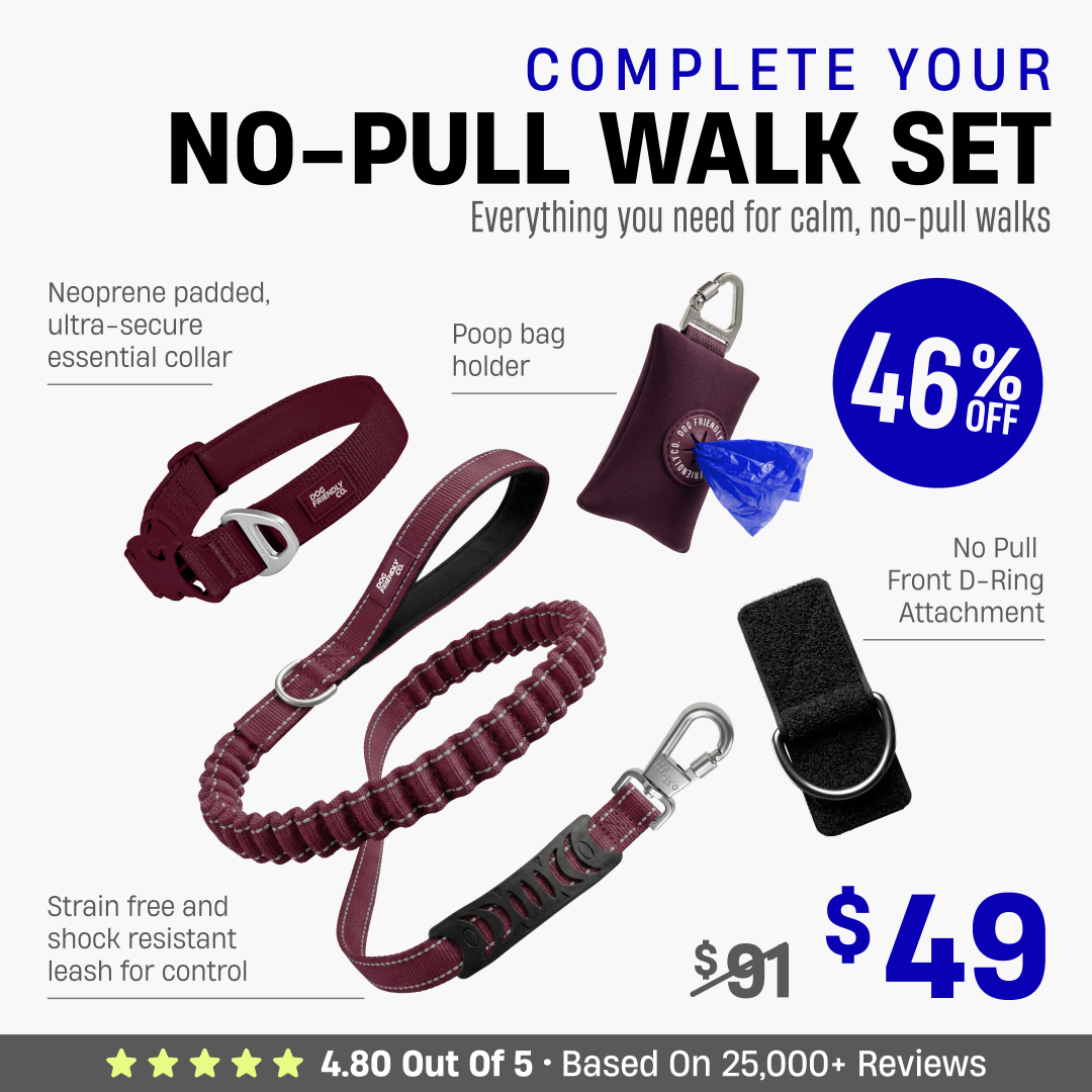 Complete Your No-Pull Walk Set + FREE GIFT