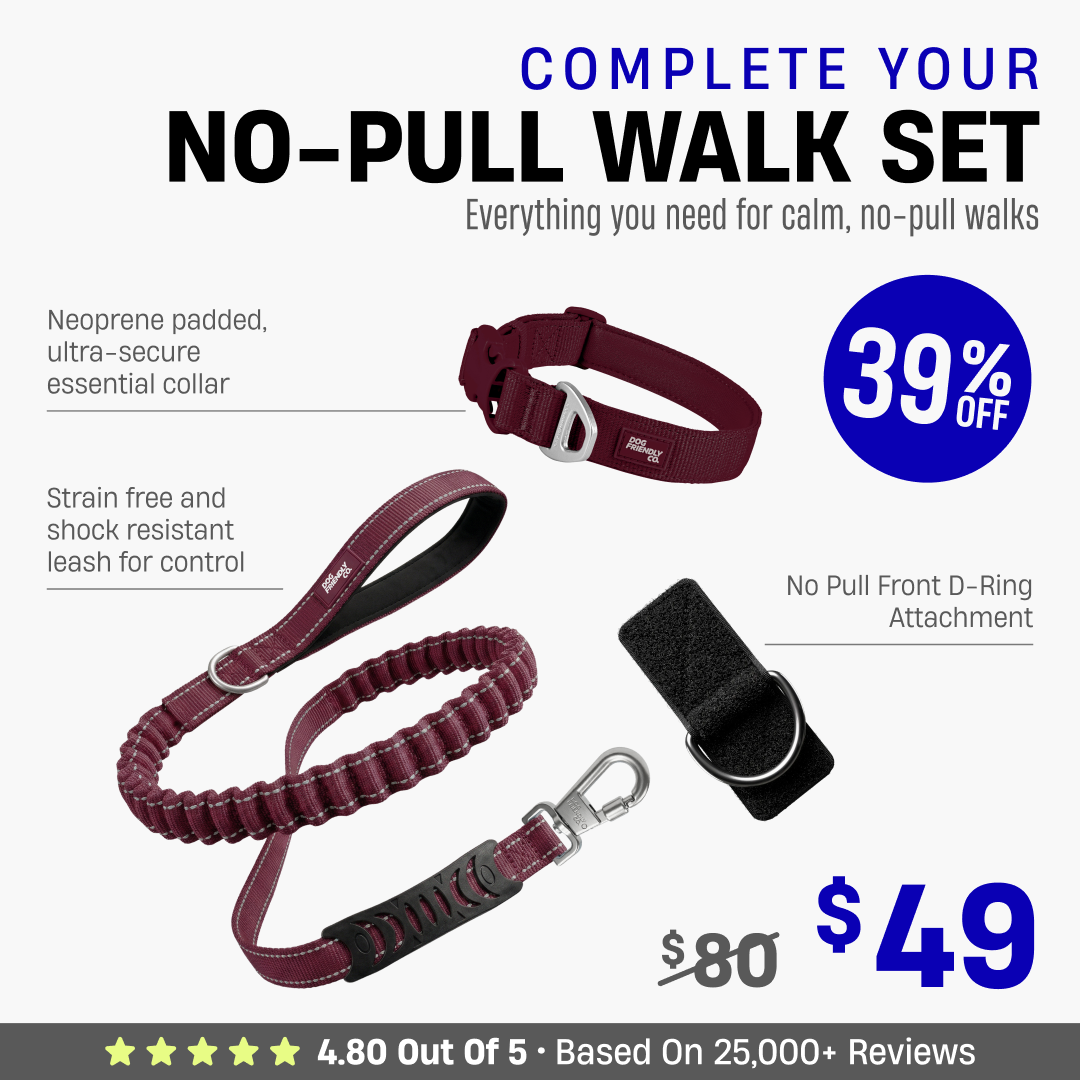 Complete Your No-Pull Walk Set