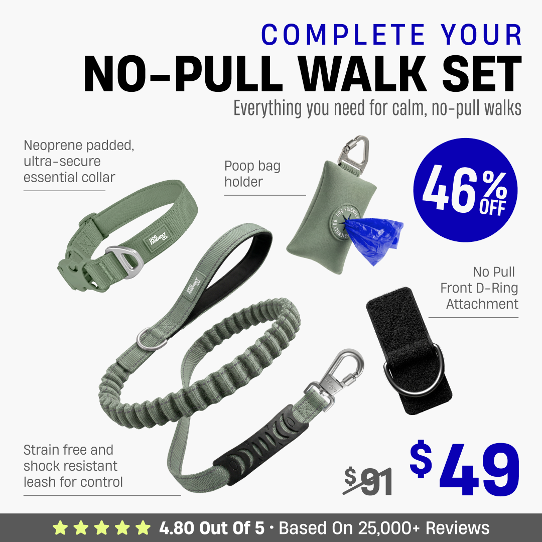 Complete Your No-Pull Walk Set + FREE GIFT