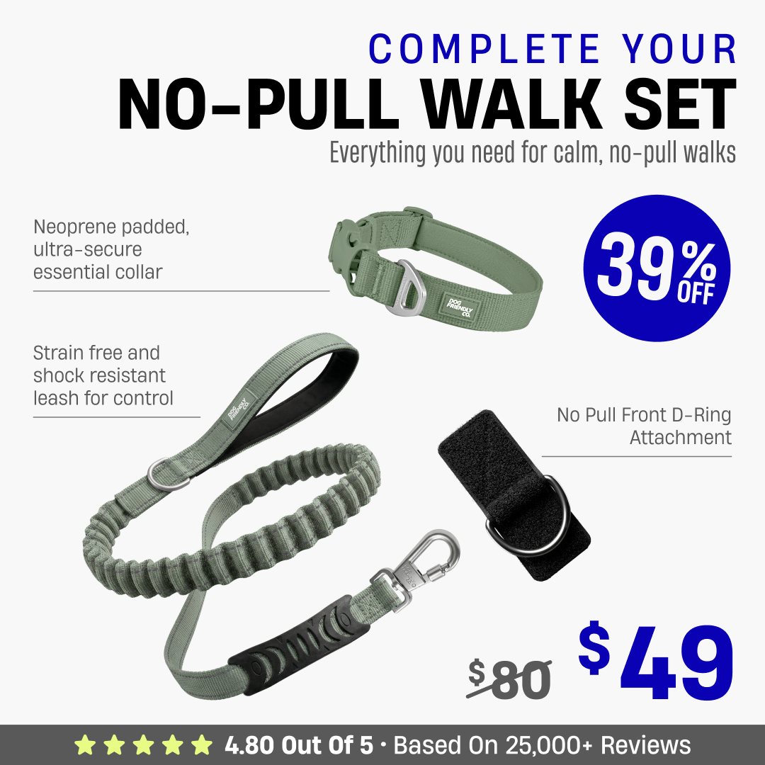 Complete Your No-Pull Walk Set