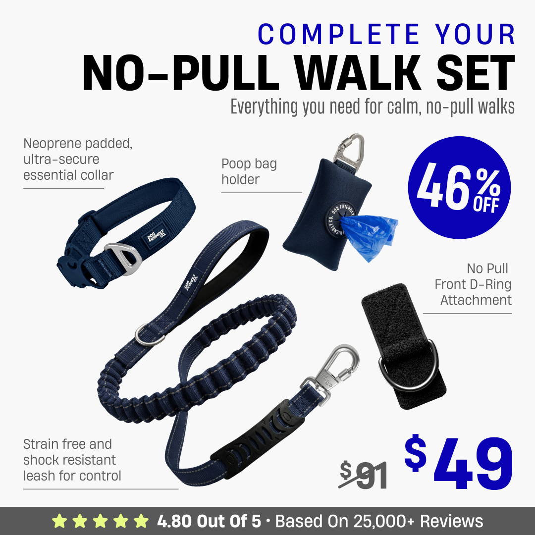 Complete Your No-Pull Walk Set + FREE GIFT