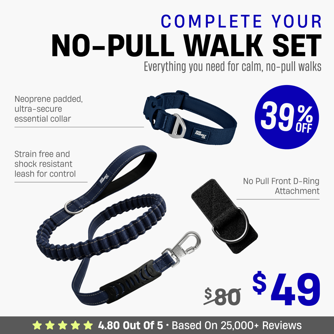 Complete Your No-Pull Walk Set