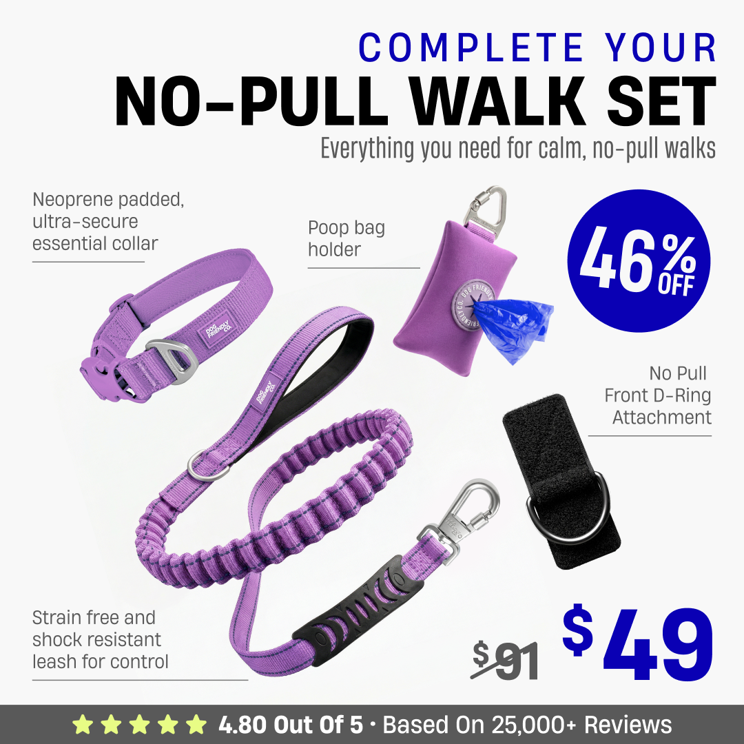 Complete Your No-Pull Walk Set + FREE GIFT