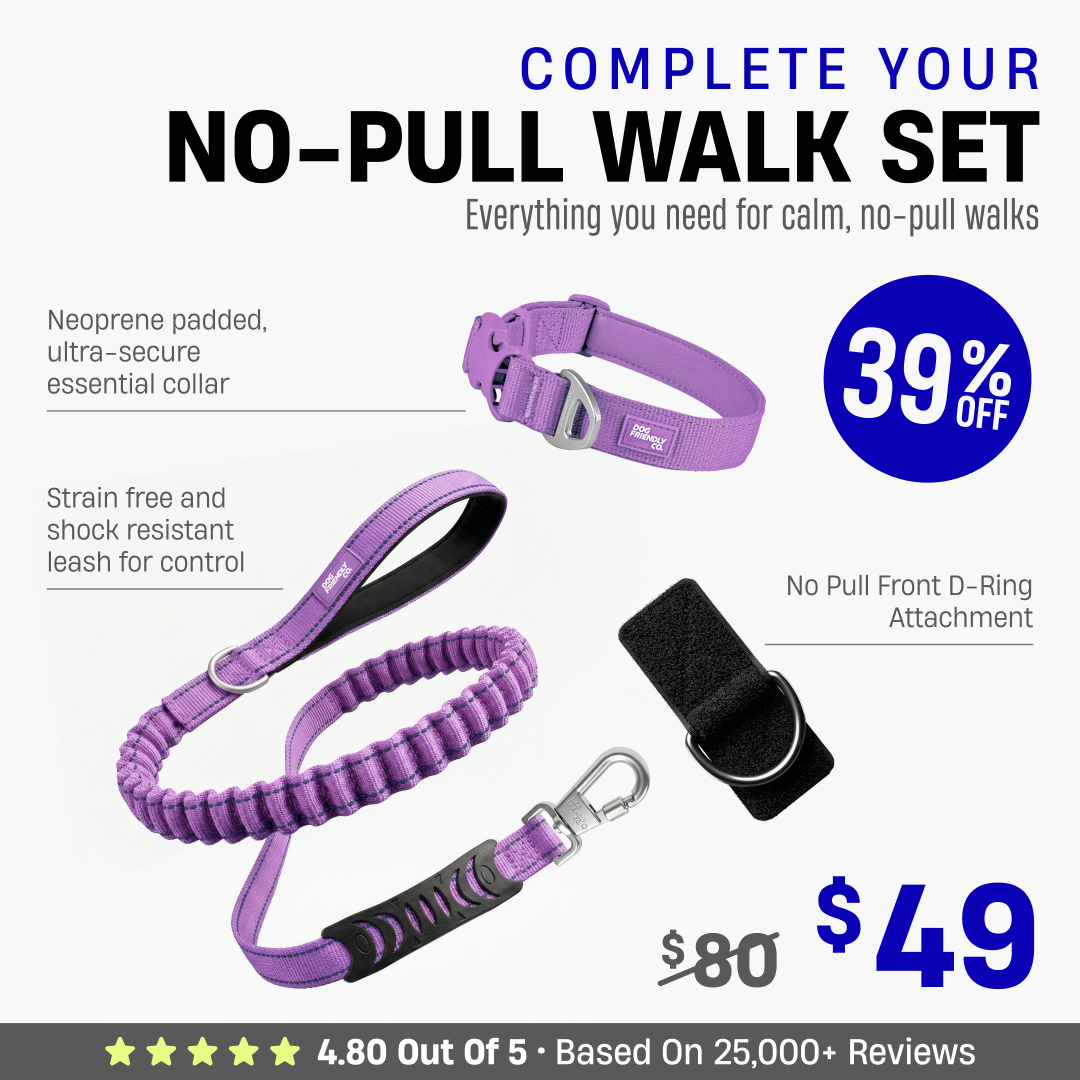 Complete Your No-Pull Walk Set