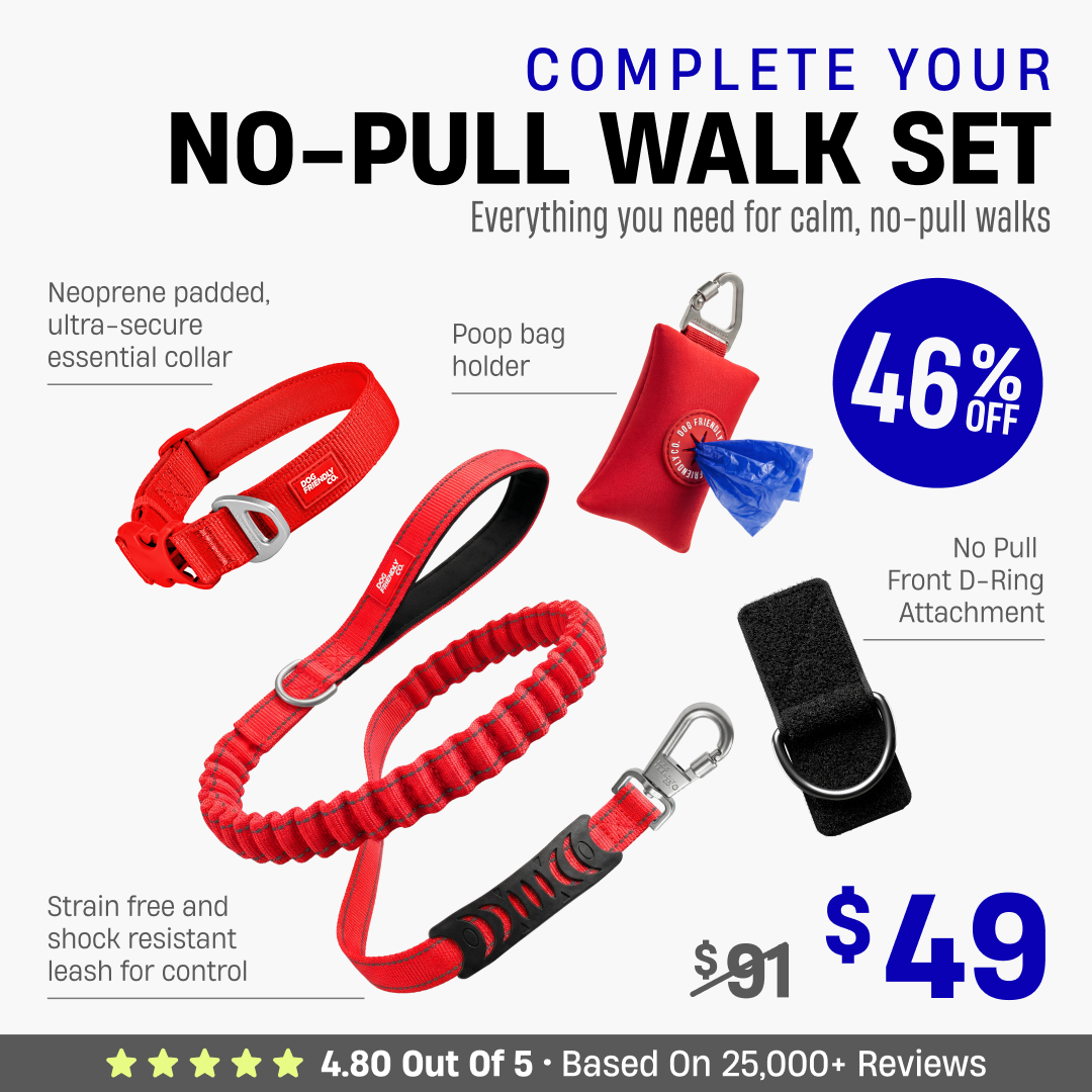 Complete Your No-Pull Walk Set + FREE GIFT