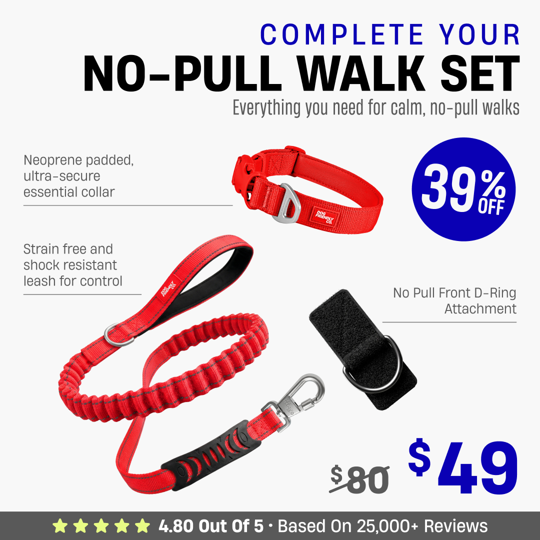 Complete Your No-Pull Walk Set