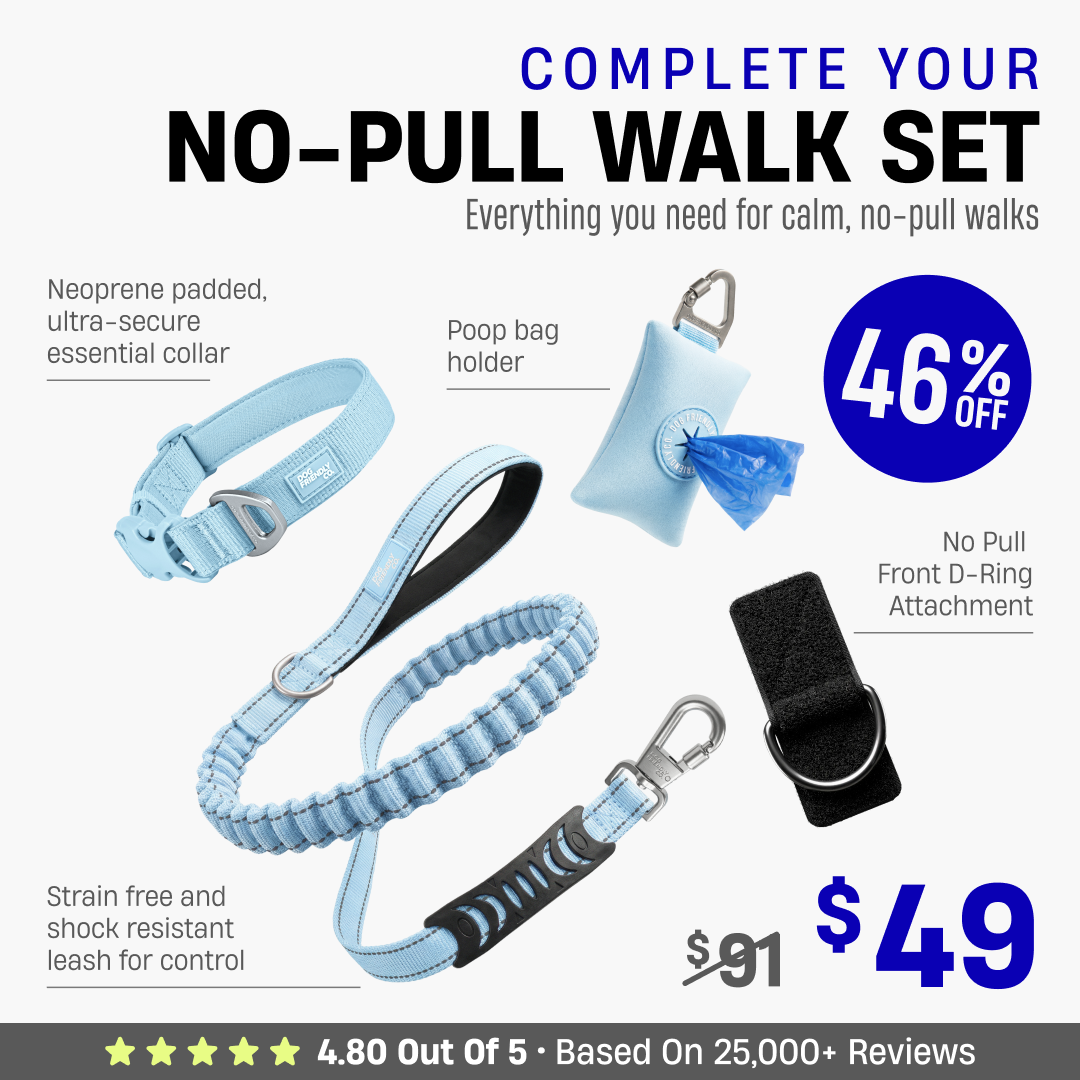 Complete Your No-Pull Walk Set + FREE GIFT