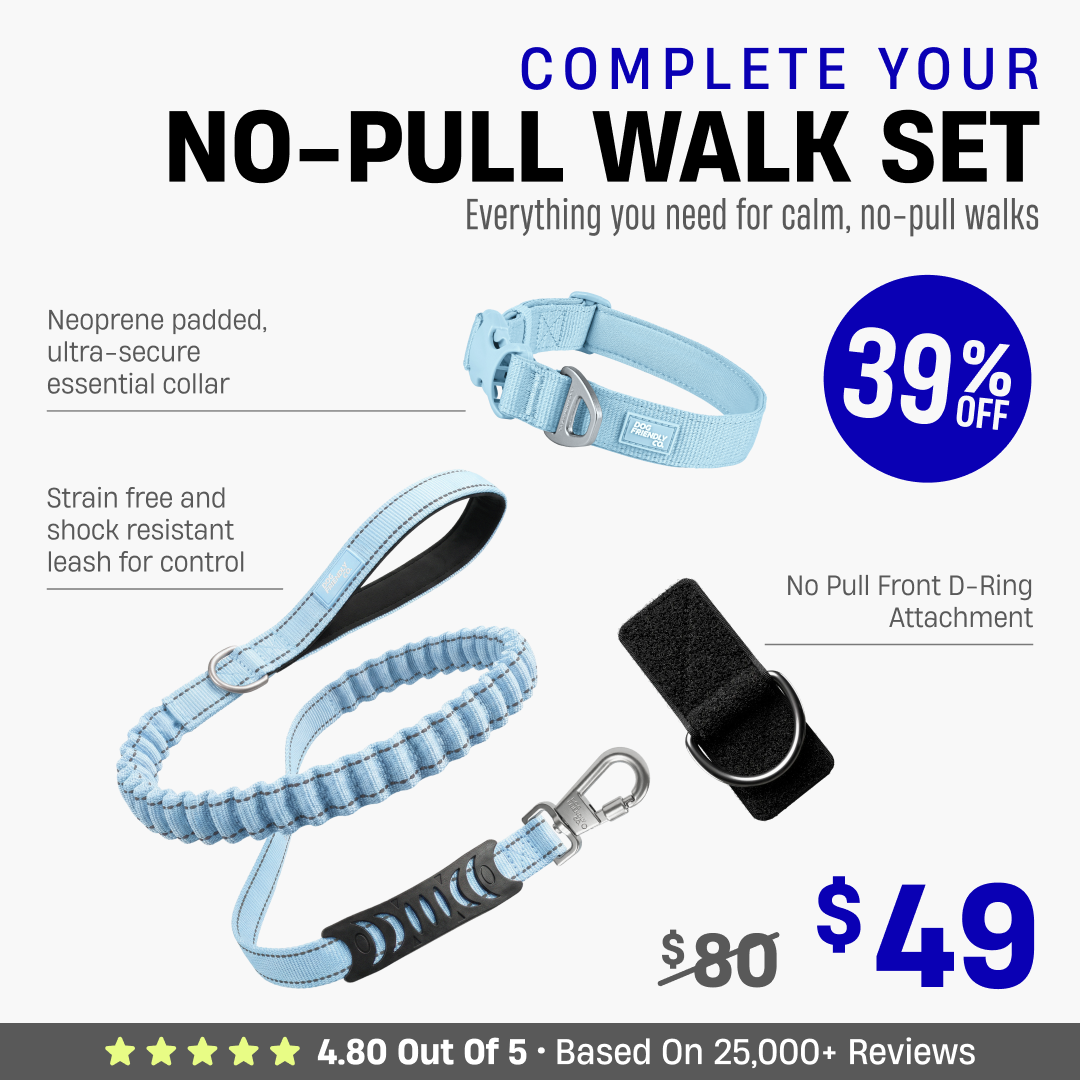 Complete Your No-Pull Walk Set