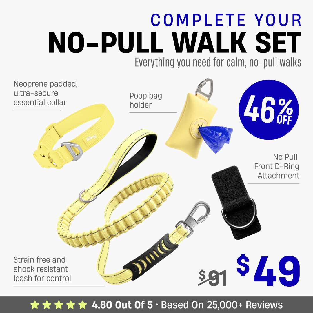 Complete Your No-Pull Walk Set + FREE GIFT