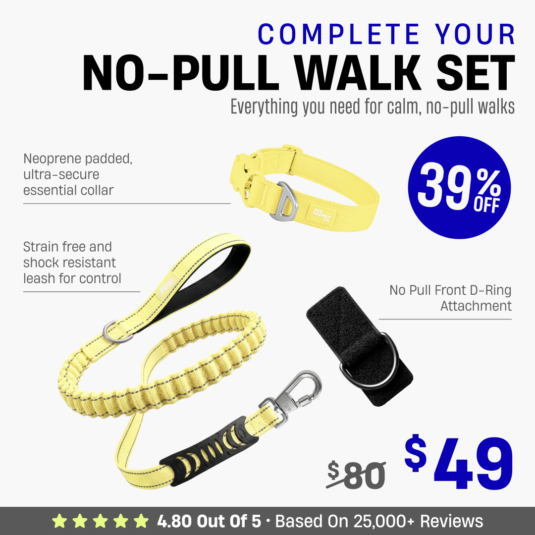 Complete Your No-Pull Walk Set