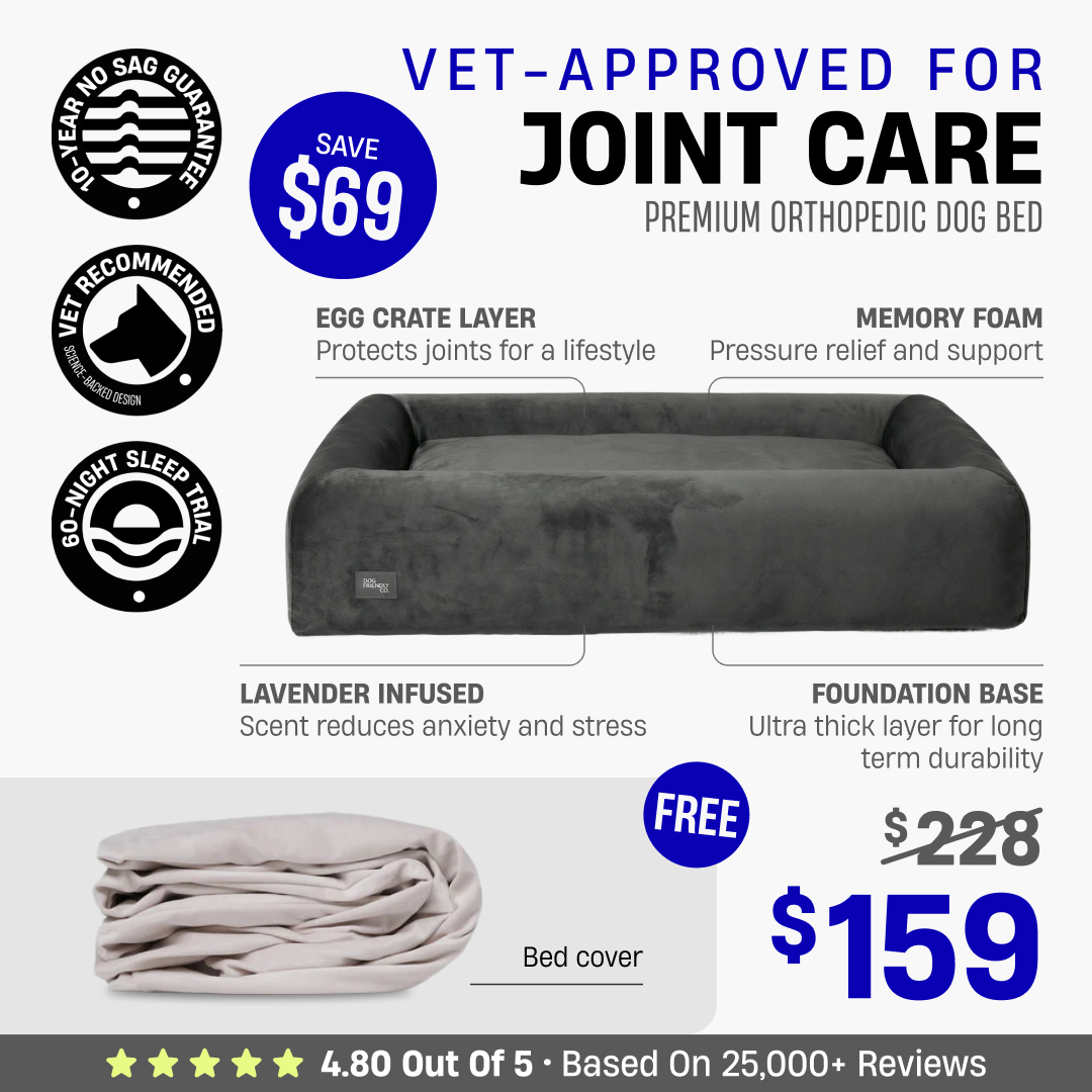 Premium Orthopedic Dog Bed + FREE Bed Cover