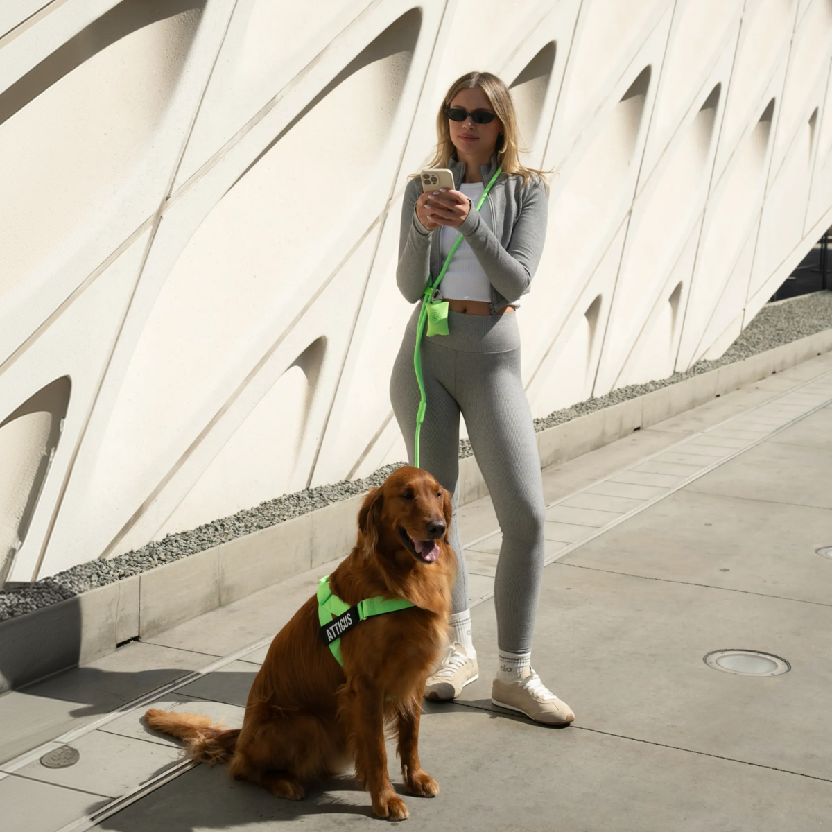 Dog Poop Bag Holder - Neon Green