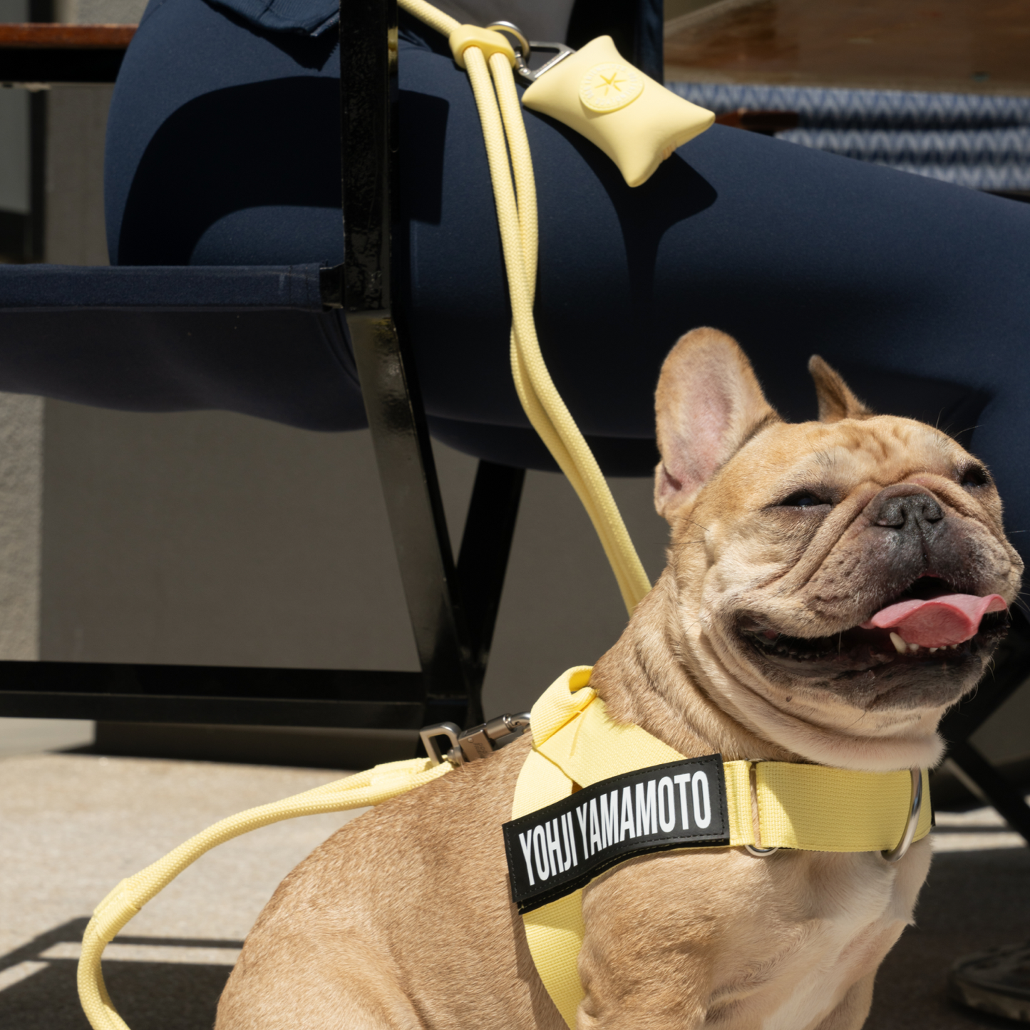 Dog Poop Bag Holder - Yellow
