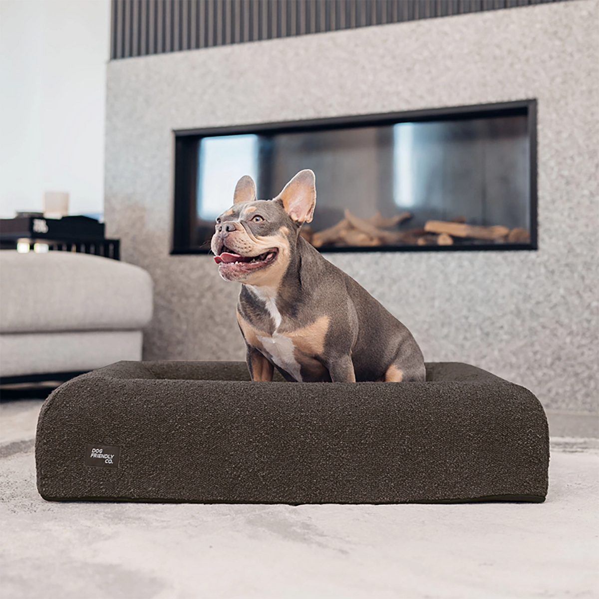 Dog resting comfortably on a brown bouclé-covered dog bed.