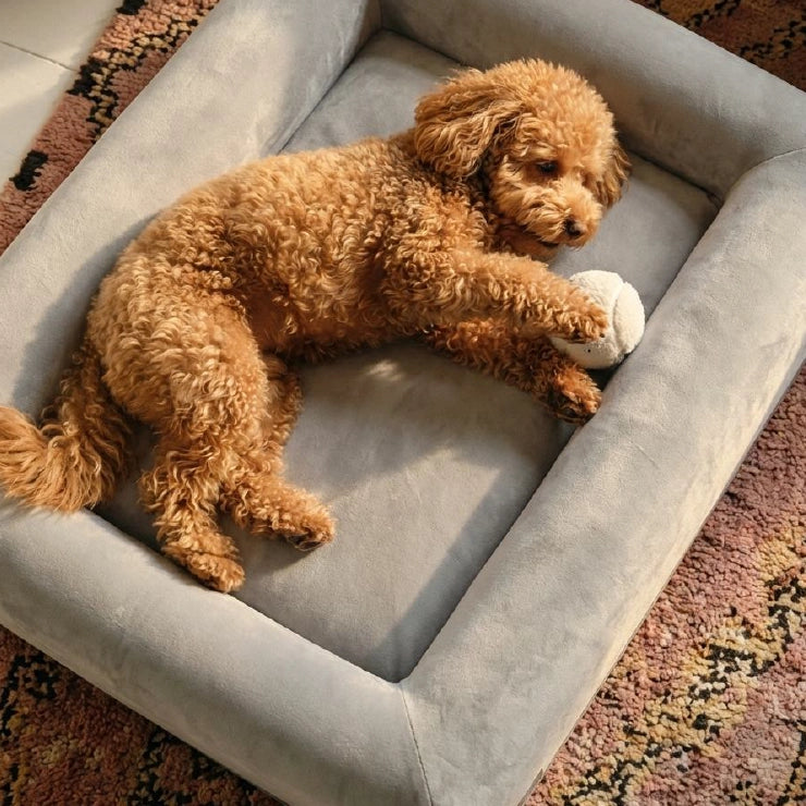 Replacement Cover - Grey