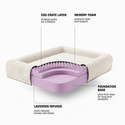 Premium Orthopedic Memory Foam Dog Bed - Beige (Large) (LP)