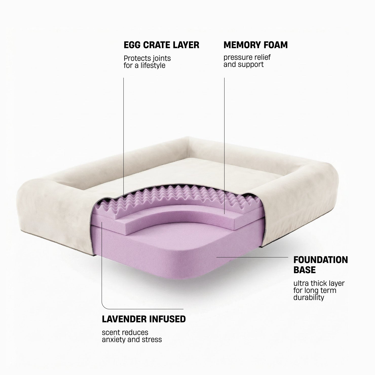 https://www.dogfriendlyco.com/cdn/shop/files/PremiumOrthopedicMemoryFoamDogBed_Beige_Infographics_01_97dc4056-4939-4c26-b4ae-d00b2dd4bfbf.webp