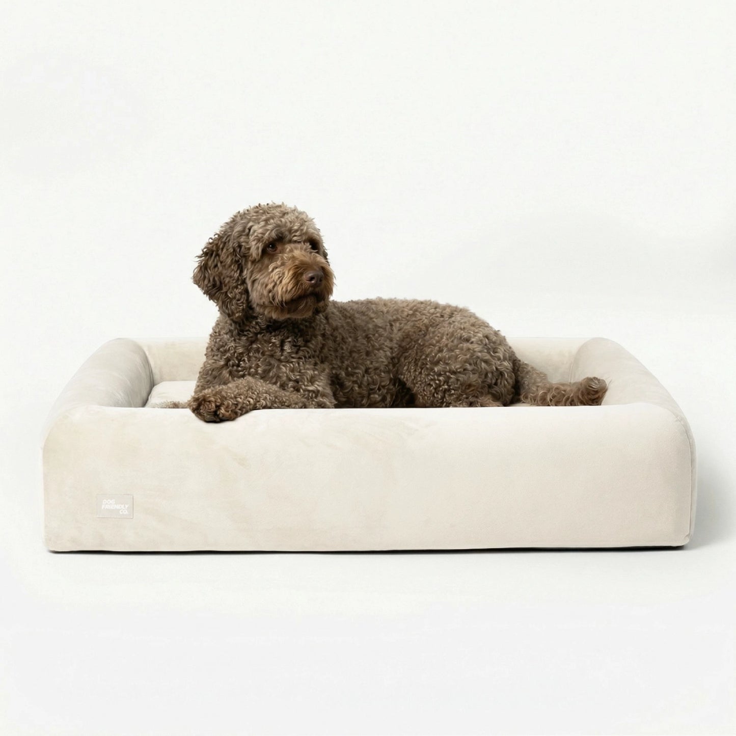 Premium Orthopedic Memory Foam Dog Bed - Beige (Small)