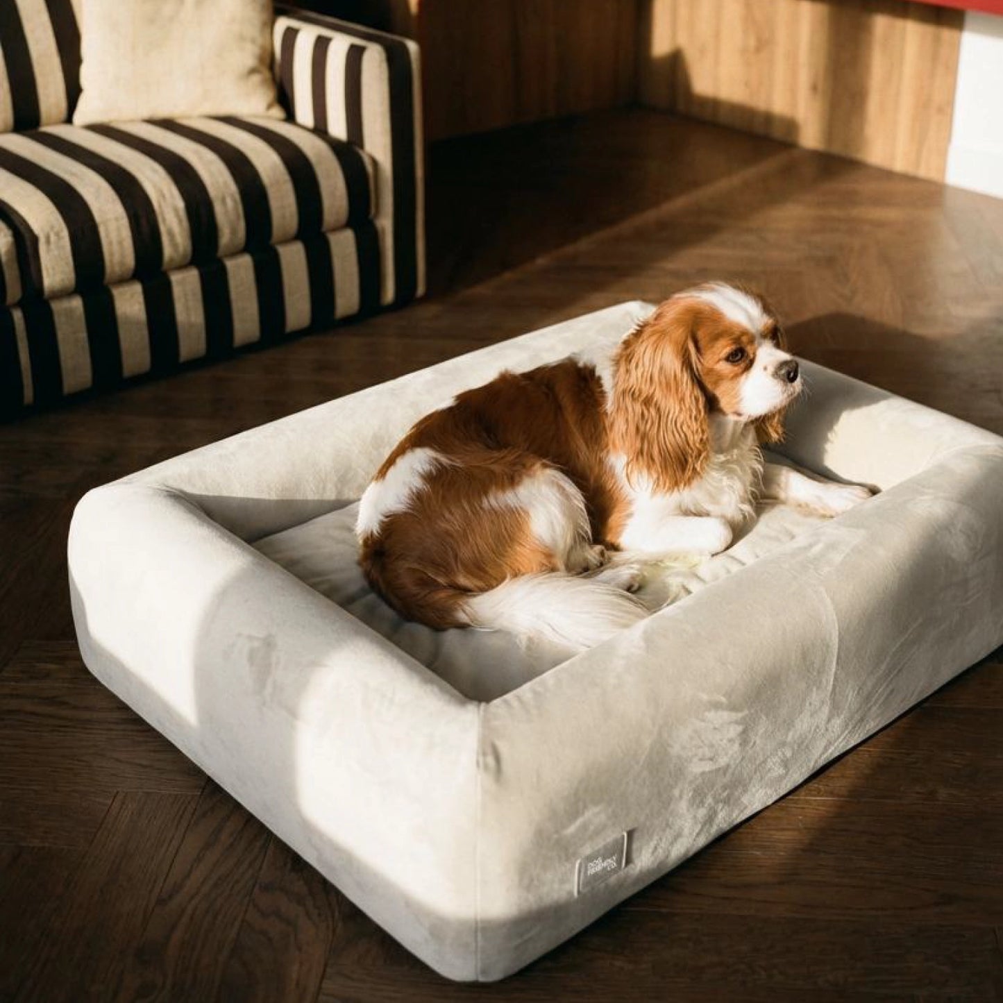 Premium Orthopedic Memory Foam Dog Bed - Beige (Small)