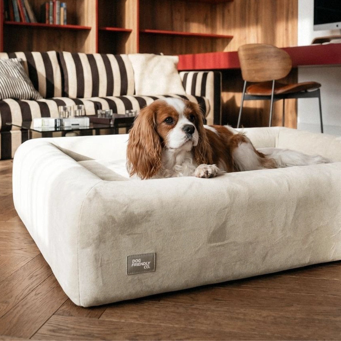 Premium Orthopedic Memory Foam Dog Bed - Beige (Small)