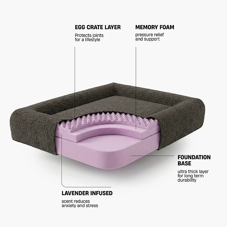 https://www.dogfriendlyco.com/cdn/shop/files/PremiumOrthopedicMemoryFoamDogBed_BrownBoucle_Infographics_01_947013d5-319d-4d8f-92b4-5d6ba25a8453.webp