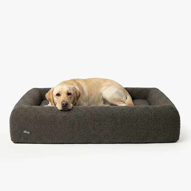 https://www.dogfriendlyco.com/cdn/shop/files/PremiumOrthopedicMemoryFoamDogBed_BrownBoucle_Product_01_def52ff0-845d-4474-91c2-1d9f17d0c544.webp