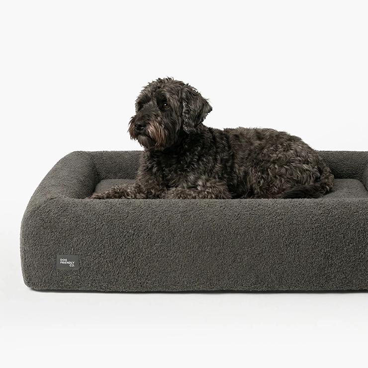 https://www.dogfriendlyco.com/cdn/shop/files/PremiumOrthopedicMemoryFoamDogBed_BrownBoucle_Product_02_60b4005a-f985-4b4c-b70d-1673bf1298fe.webp