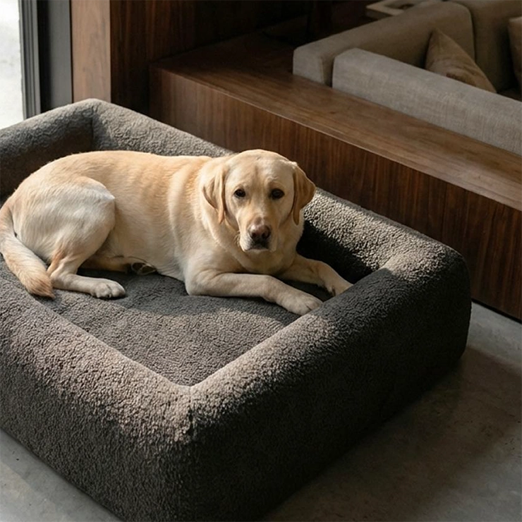 https://www.dogfriendlyco.com/cdn/shop/files/PremiumOrthopedicMemoryFoamDogBed_BrownBoucle_Product_04_5380c7b4-66e9-47f4-8400-29bcb5cbc780.webp