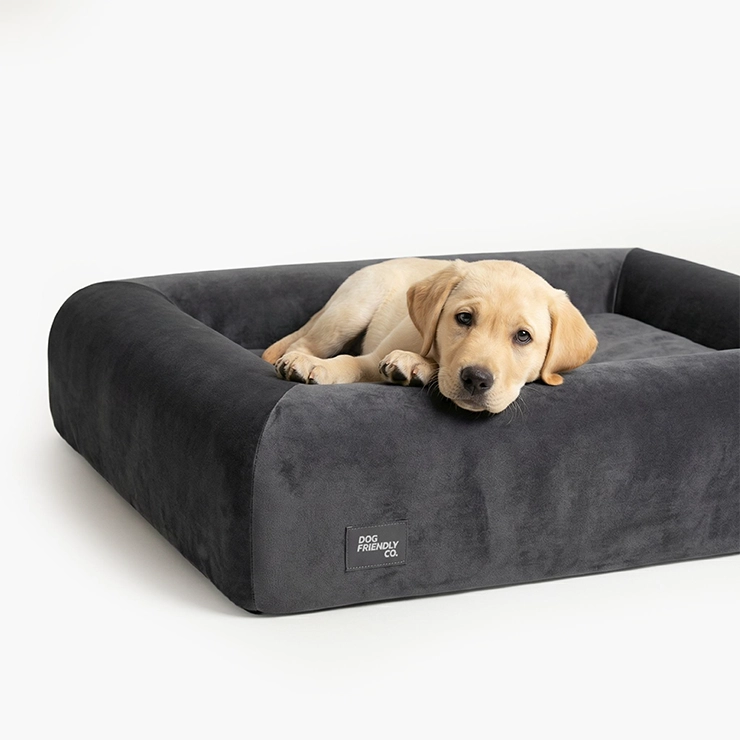 https://www.dogfriendlyco.com/cdn/shop/files/PremiumOrthopedicMemoryFoamDogBed_Charcoal_Product_02_6a35b397-3df6-430d-b6d2-a0ef3ef3a454.webp