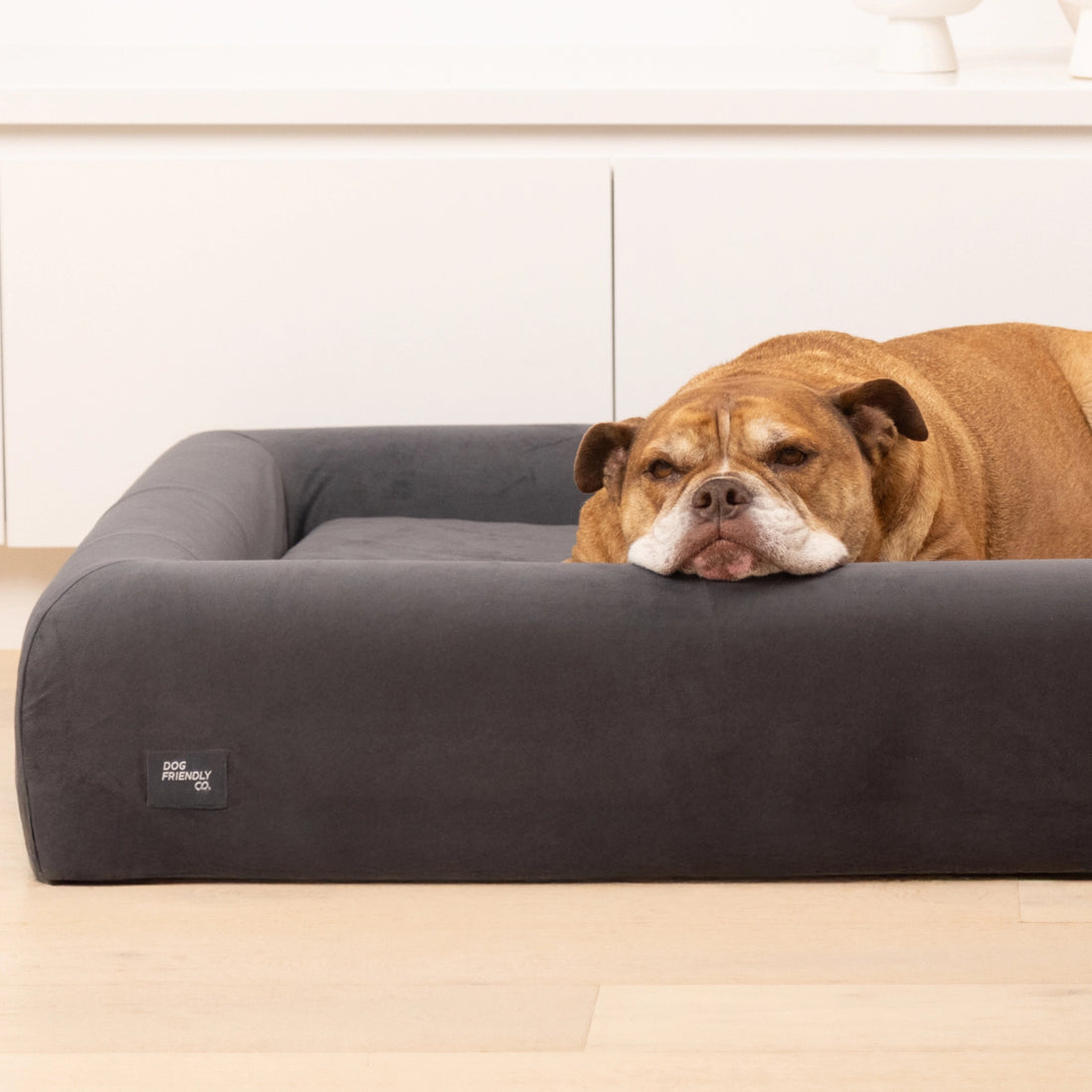 Premium Orthopedic Memory Foam Dog Bed - Charcoal
