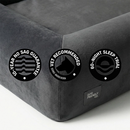Premium Orthopedic Memory Foam Dog Bed - Charcoal (Large) (LP)