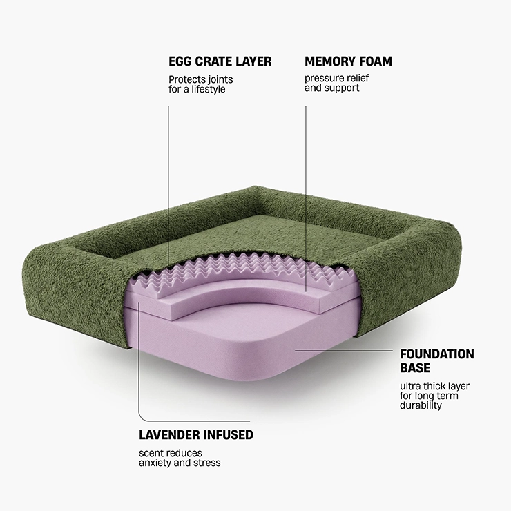 https://www.dogfriendlyco.com/cdn/shop/files/PremiumOrthopedicMemoryFoamDogBed_GreenBoucle_Infographics_01_474f3283-7e43-4203-a0e9-18d177237411.webp