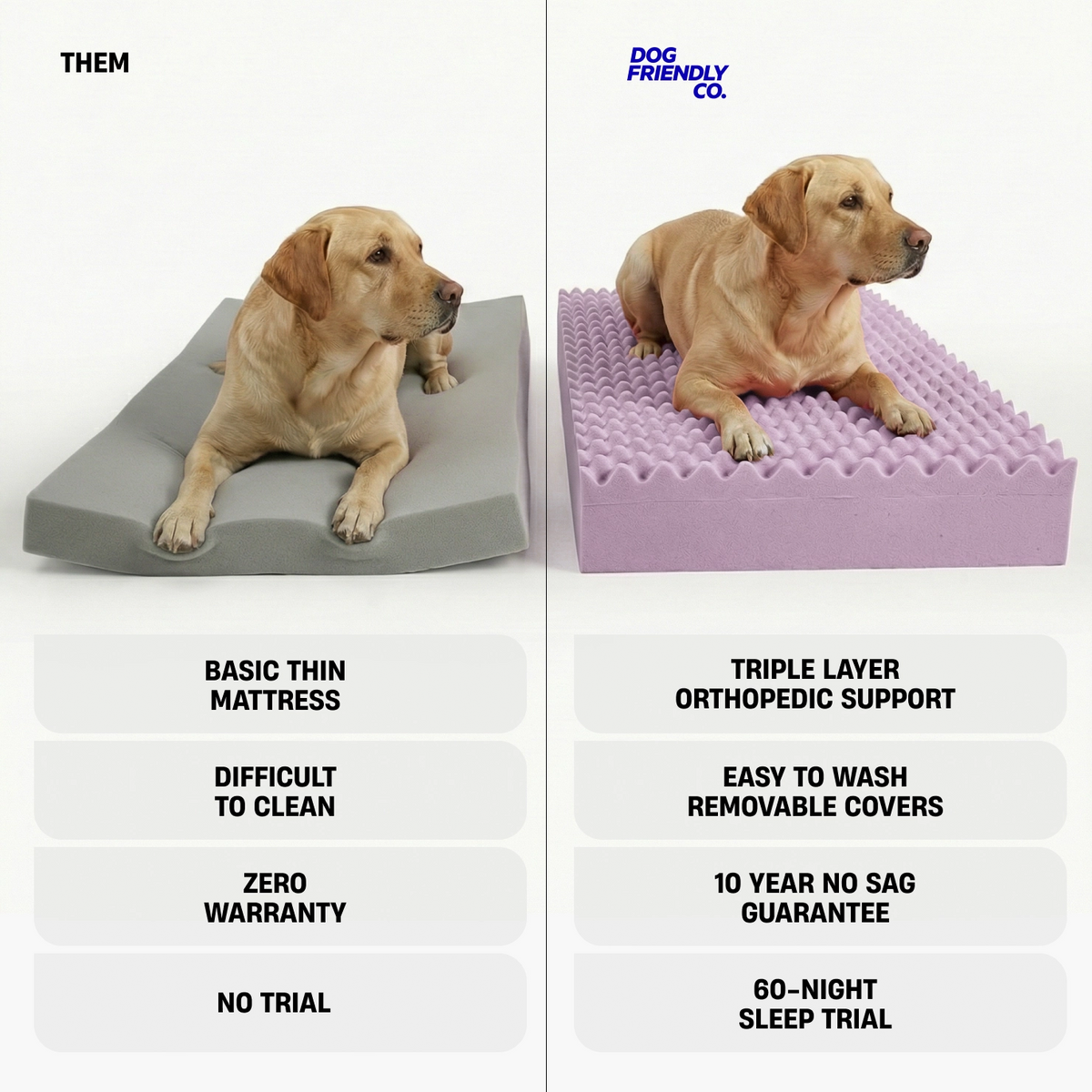 Premium Orthopedic Memory Foam Dog Bed - Green Bouclé